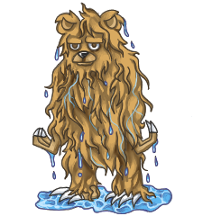 Drizzly Bear